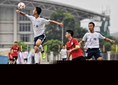 广东队真怕啥来啥，季后赛分组对手最难，夺冠难了